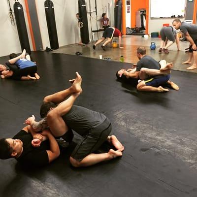 Submission Grappling & Strength and Conditioning