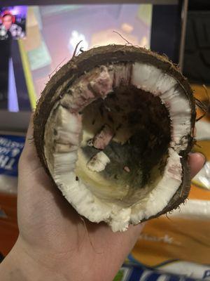 Rotten coconut