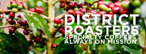 DISTRICT Roasters specialty coffees from over a dozen parts of the world. Selected for flavor, aroma, and experience.