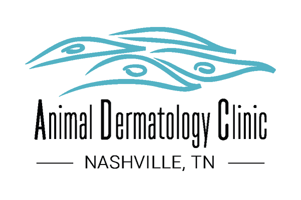 Animal Dermatology Clinic