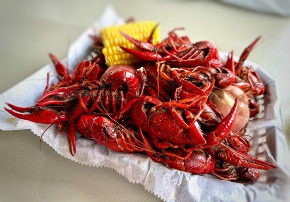 Crawfish in Season