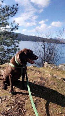 Cooper walking down by the lake