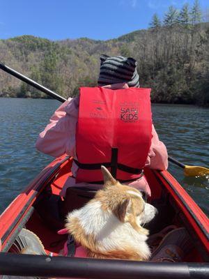 Kayaking with corgi