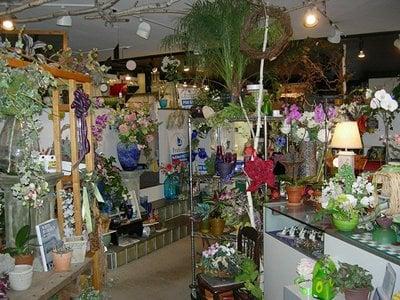 Specialty Florists on the Main Line