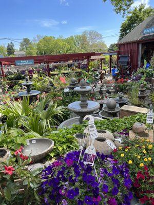 Water feature area