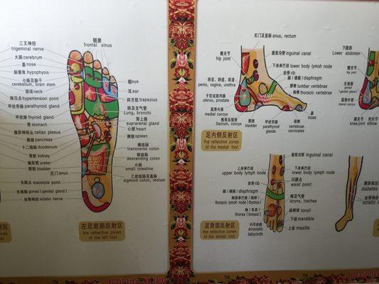 Foot reflexology map best services