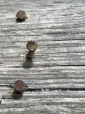 Nails pops all over deck floor!