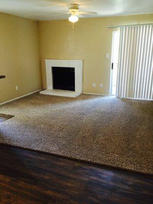 my living room and brand new frizzy carpet!