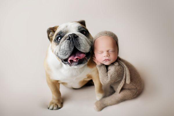 Newborn and pet photography