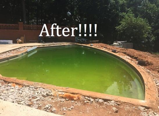 This is what my pool looked like when he took off with my money ($4100)