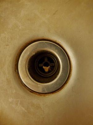 Sink drain