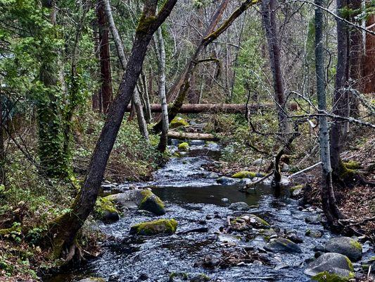 Lithia Park