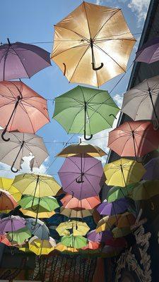 UMBRELLAS