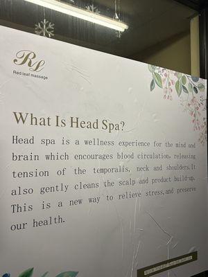 What is a head spa description