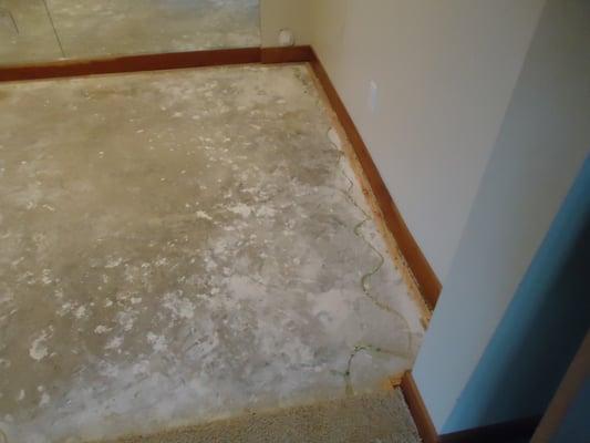 Remove wet carpet