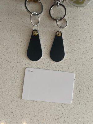 Card key, two black fobs (key rings are mine)