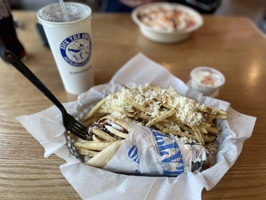 Beef/lamb gyro with Greek fries