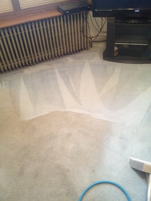 Carpet Cleaning (Steaming System) & low Moister.