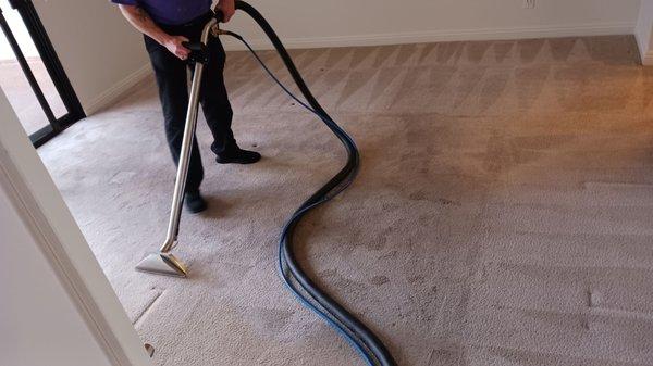 An old carpet being steam cleaned for a rental unit in Huntington Beach.