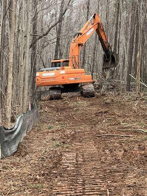 Clearing woods for a new subdivision