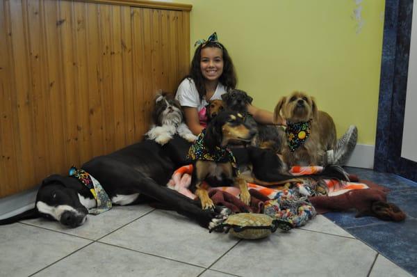 Friends at Doggie Daycare Village Pet Inn!