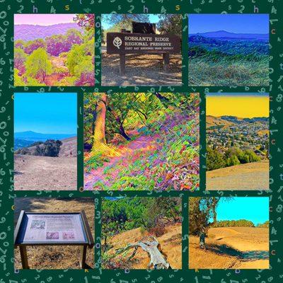 Montage of images from Sobrante Ridge Regional Preserve