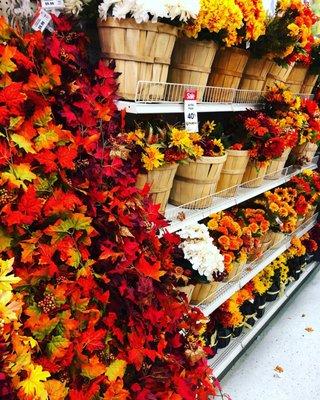 Autumn has arrived!