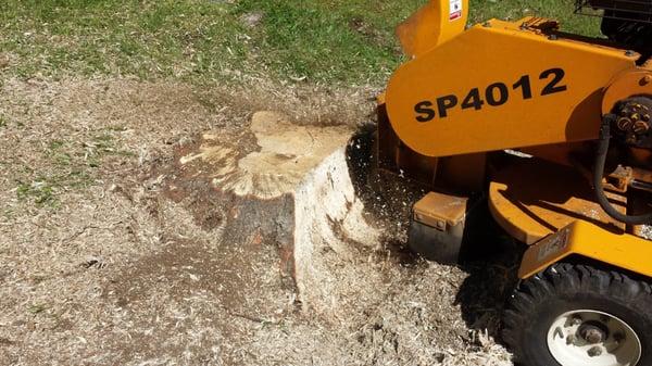 Stump Grinding, Eliot ME