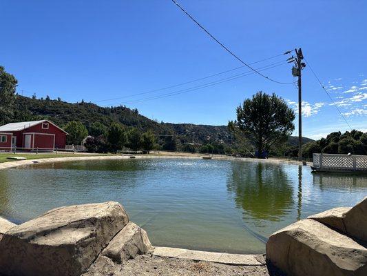 Beautiful pond where wolves get to play sometimes