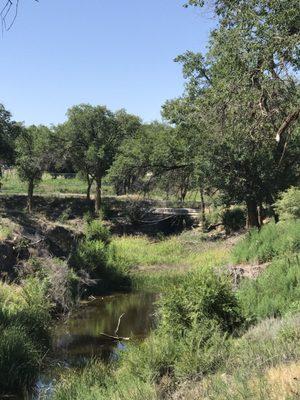 Site of the ice age lion bones