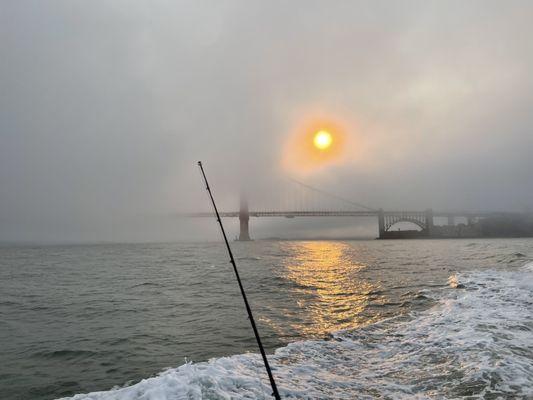 The beautiful GG bridge.