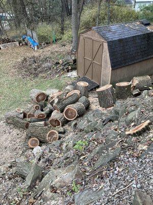 Massive logs not cut up (after job was complete)