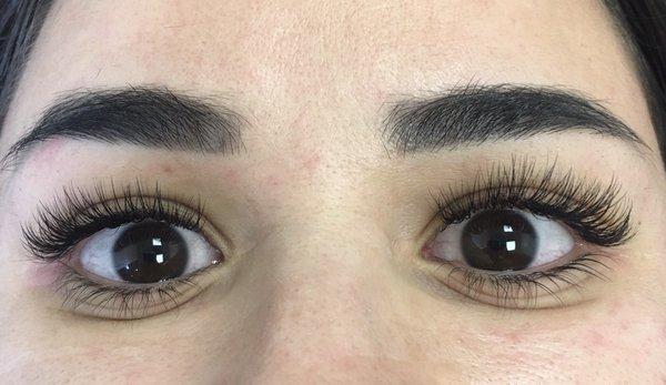 Hybrid Lashes by Vee