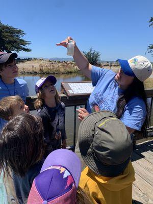 A KIDS for the BAY Educator captivates campers with an aquatic science investigation.