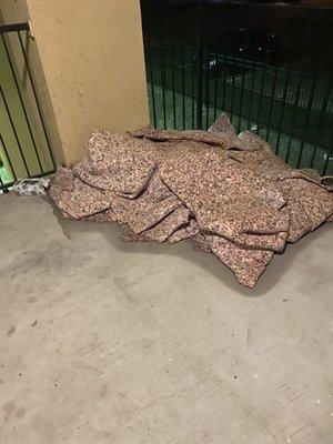 Carpet padding (removed after the flood and left on the porch)