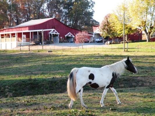 The beautiful Stables at our  Sevierville, Tennessee location.