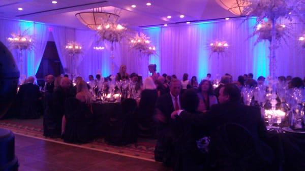 Tampa Wedding DJ's Uplighting offered, low rates available to existing clients who utilize our already existing services