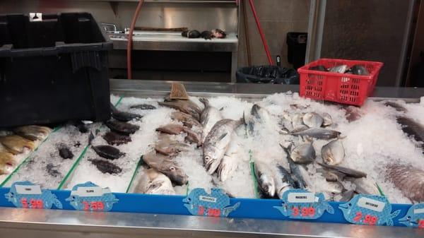 Fish section with whole and fillet fish