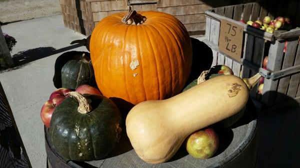 Oh My Gourd!