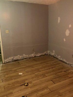 Drywall repair