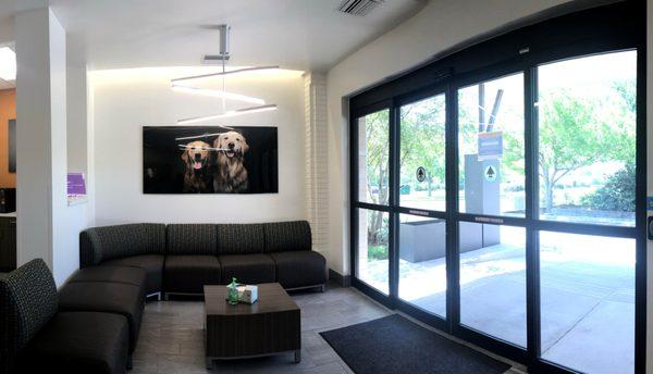 Interior Image - CVCA Shoal Creek location is inside of VCA Capital Area Veterinary Specialists.