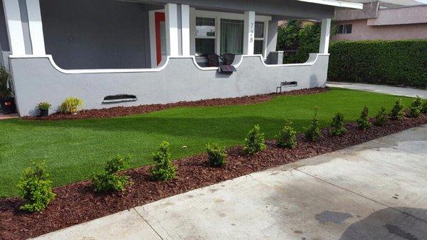 Full landscape project: pet friendly turf, new drip line, boxwood hedge, complimented with rich brown mulch!