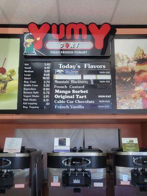 Frozen Yogurt....Fro-yo menu, toppings $1