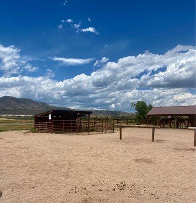 So gorgeous out! Little mini horse corral