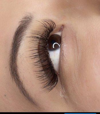 Lash extension