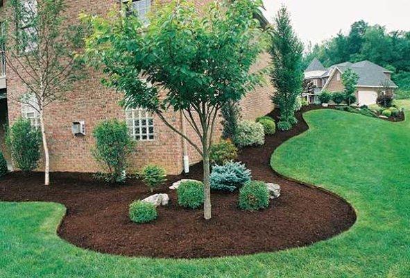 Mulch Installation