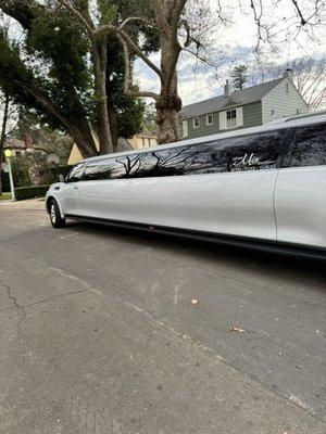 The limo is so long that you can't even get it all in a normal picture!