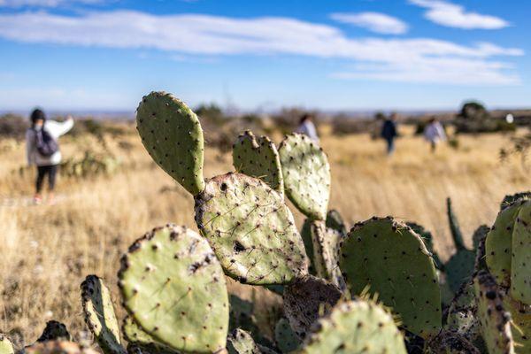 Guadalupe Mountains National Park