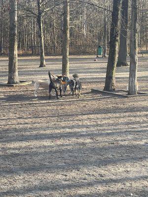 Grist Mill Park