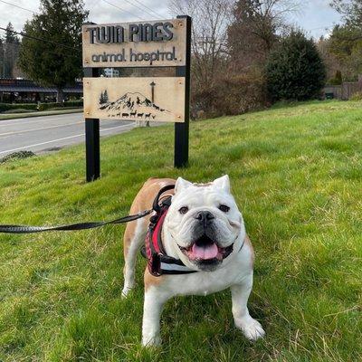 Twin Pines Animal Hospital